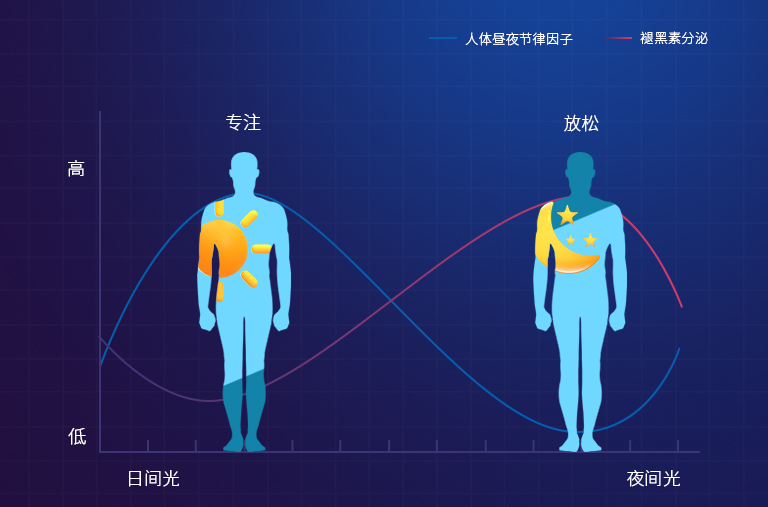 2 - 副本.jpg